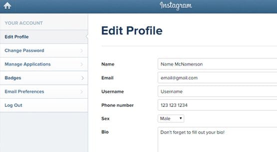 Instagram Profile Edit