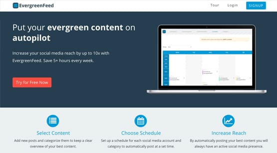 Evergreen Feed Signup