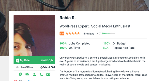 Instagram Consultant on Freelancer