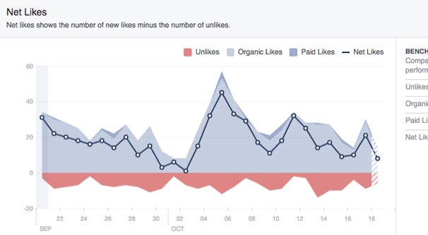 Net Likes Facebook