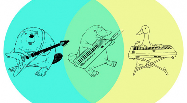 Beaver Goose Venn Diagram