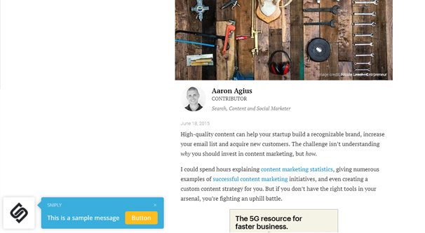 Example Article with Sniply