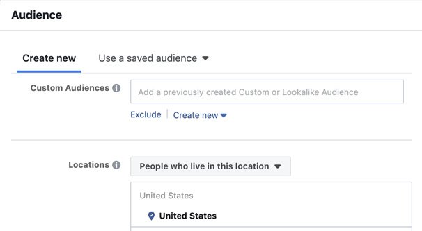 Custom FB Audience Settings