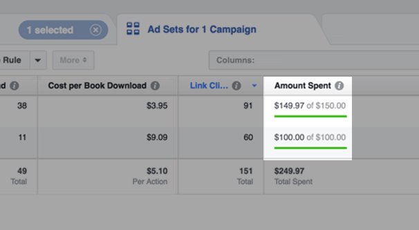 Amount Spent Facebook Ads