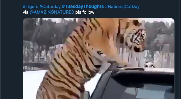 TuesdayThoughts Hashtag